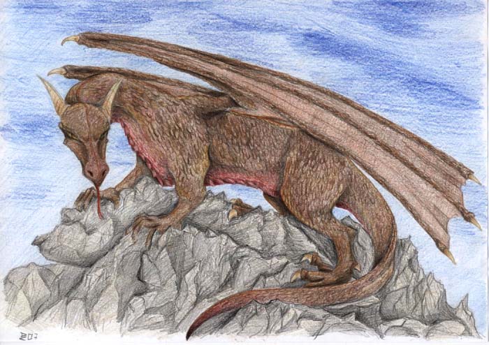 Brauner Felsdrache - von Talea