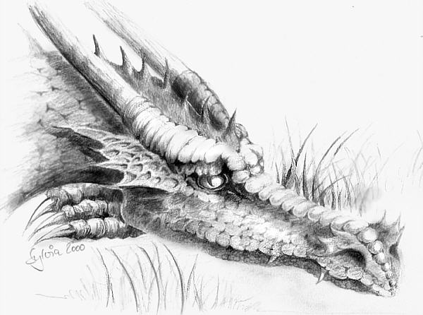 Ein wirklich trauriger Drache