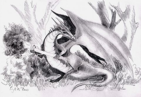 Bereit zum Drachentennis-Turnier ;-)